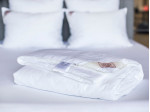 75240 Одеяло LUXURY SILK GRASS всесезонное 200х220