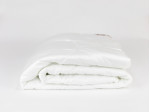 96130 Одеяло DOUBLE TENCEL GRASS всесезонное 150х200