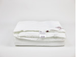 96160 Одеяло DOUBLE TENCEL GRASS всесезонное 260х240