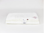 96161 Одеяло DOUBLE TENCEL GRASS легкое 260х240