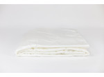 96171 Одеяло DOUBLE TENCEL GRASS легкое 160х220