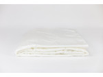 96191 Одеяло DOUBLE TENCEL GRASS легкое 200х200