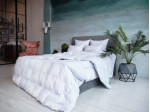 FDN-02292 Одеяло GRAY FAMILIE DOWN всесезонное 200х200